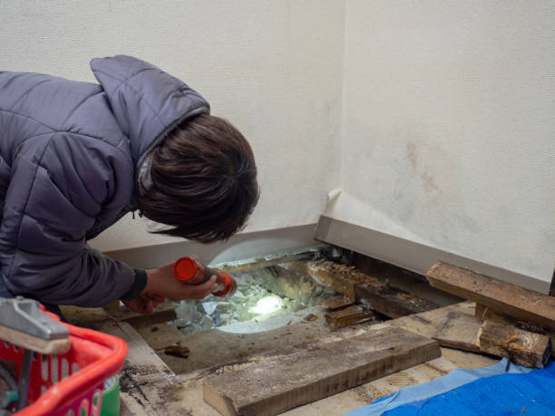 Best Crawl Space Mold Remediation  in Hebron, OH