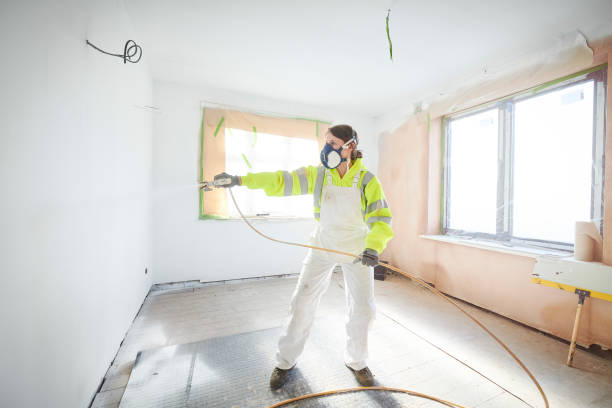 Best Asbestos and Lead Testing During Mold Inspection  in Hebron, OH