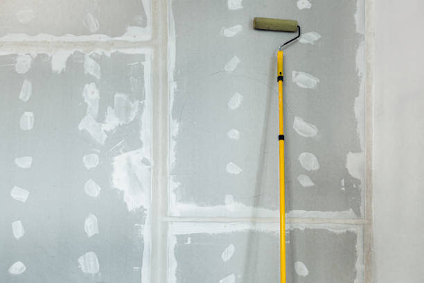 Best Mold Odor Removal Services  in Hebron, OH