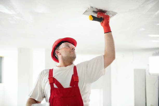 Trusted Hebron, OH Mold Removal Experts
