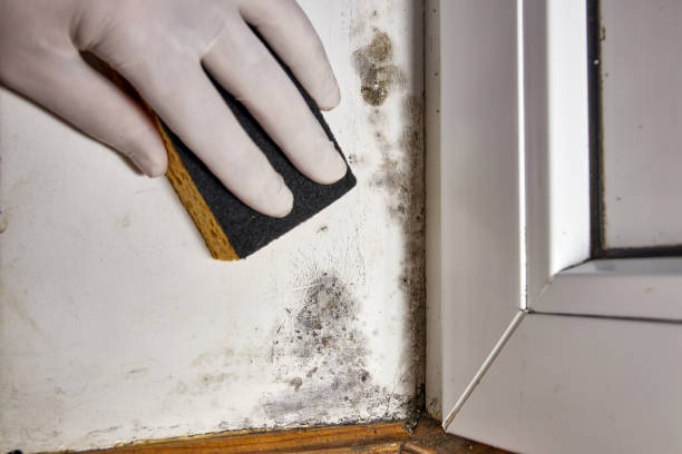 Best Mold Removal for HVAC Installations  in Hebron, OH